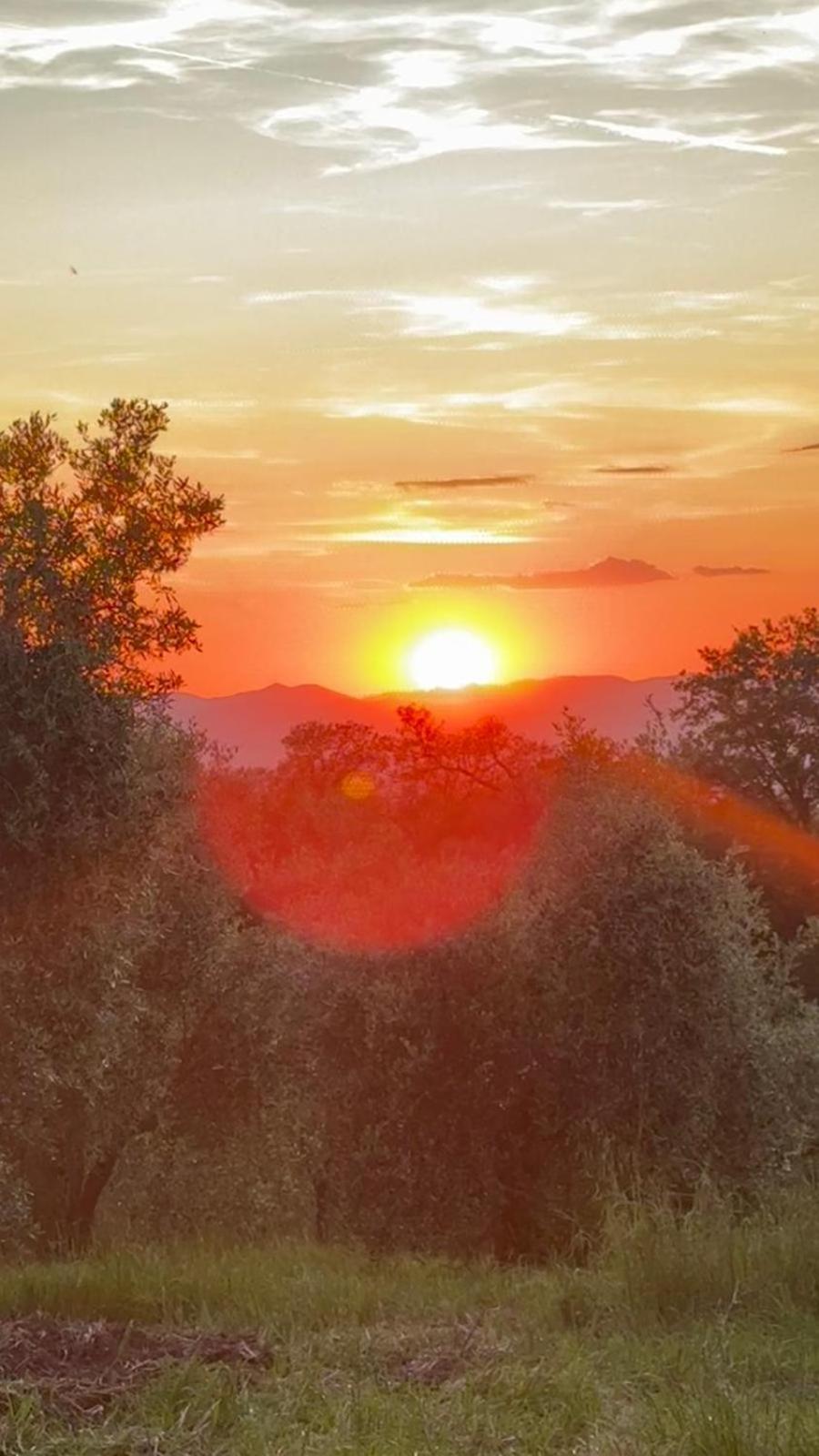 Agriturismo Terranera 스칸사노 외부 사진