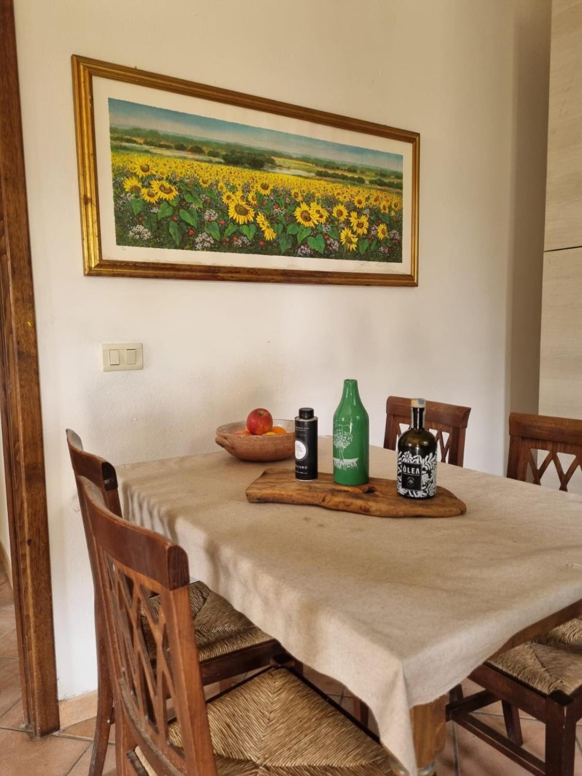 Agriturismo Terranera 스칸사노 외부 사진