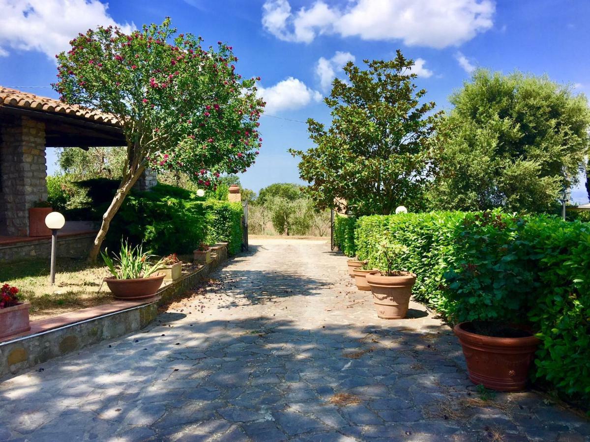Agriturismo Terranera 스칸사노 외부 사진
