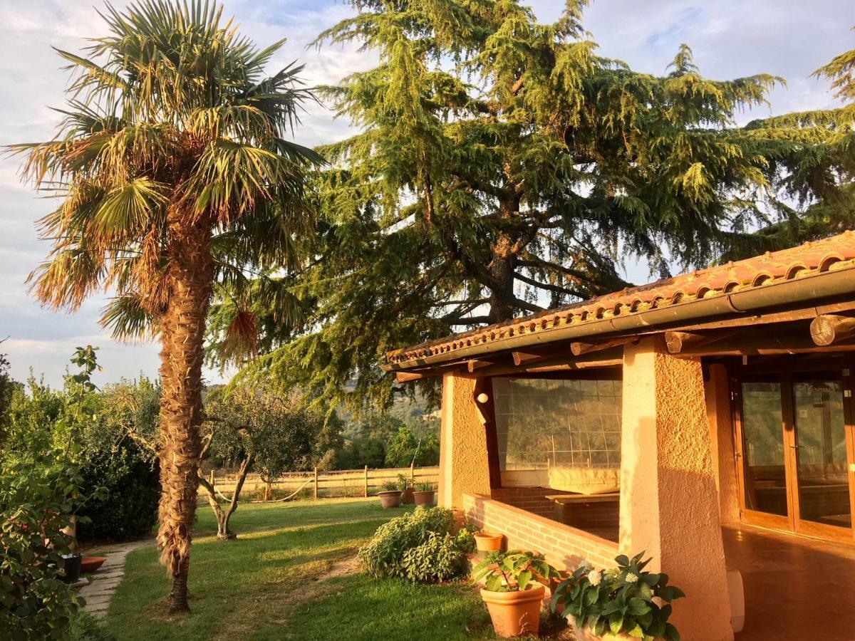 Agriturismo Terranera 스칸사노 외부 사진
