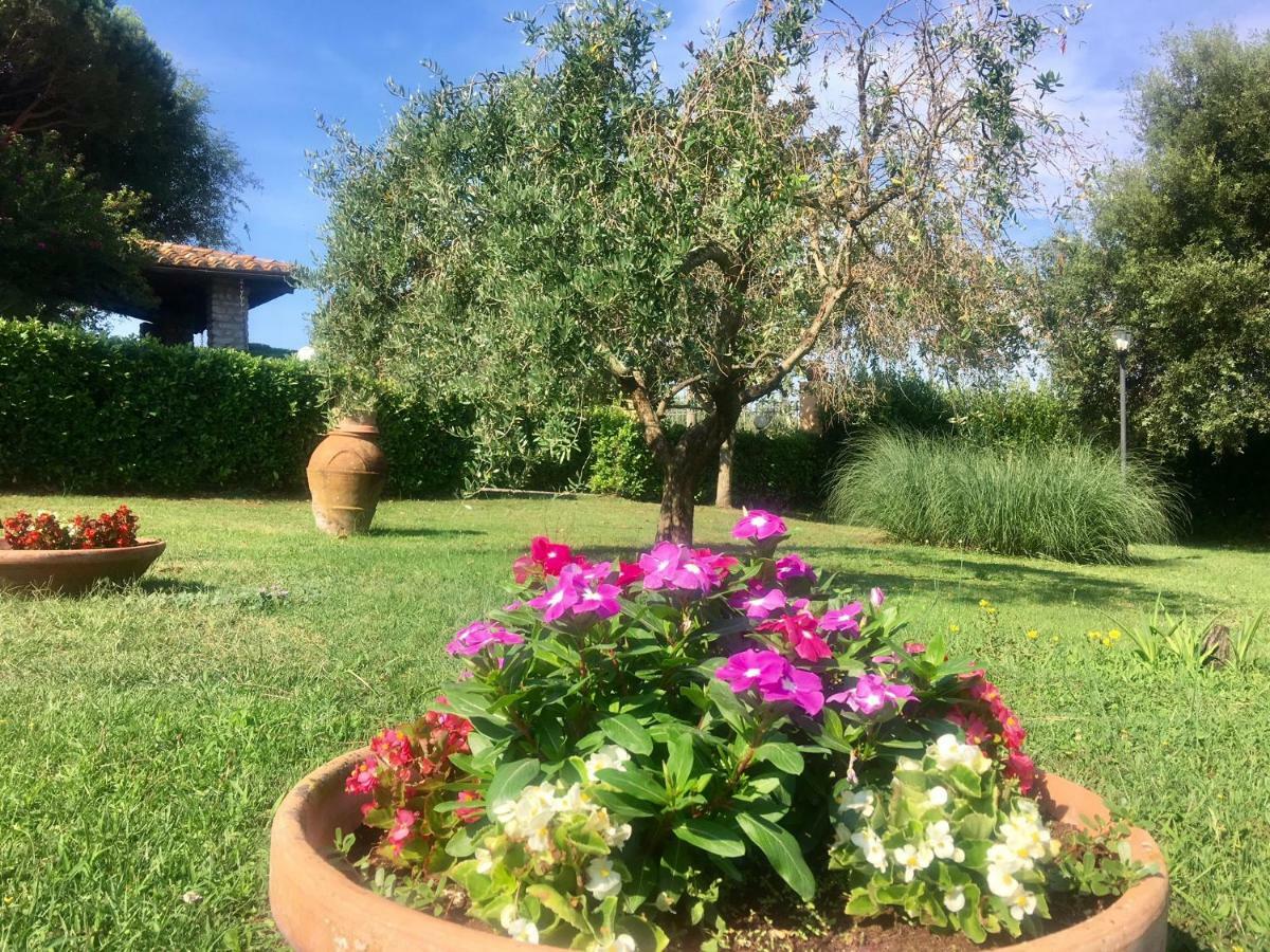 Agriturismo Terranera 스칸사노 외부 사진